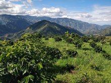 Load image into Gallery viewer, Colombia El Nevado del Huila